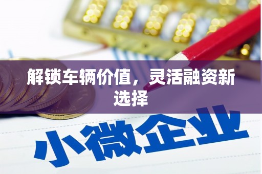 碌曲解锁车辆价值，灵活融资新选择
