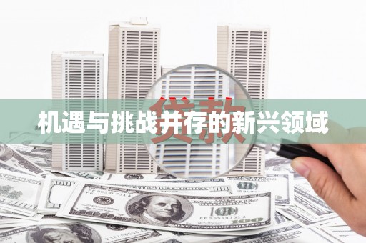 碌曲机遇与挑战并存的新兴领域