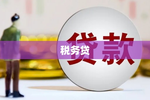 碌曲税务贷