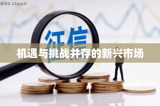 碌曲机遇与挑战并存的新兴市场