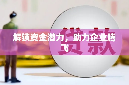 碌曲解锁资金潜力，助力企业腾飞