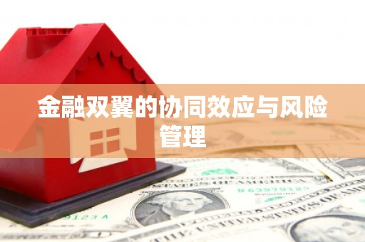 碌曲金融双翼的协同效应与风险管理