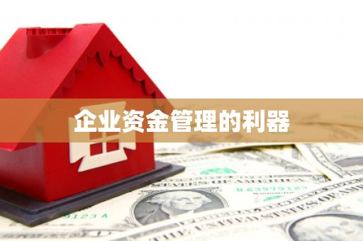碌曲企业资金管理的利器