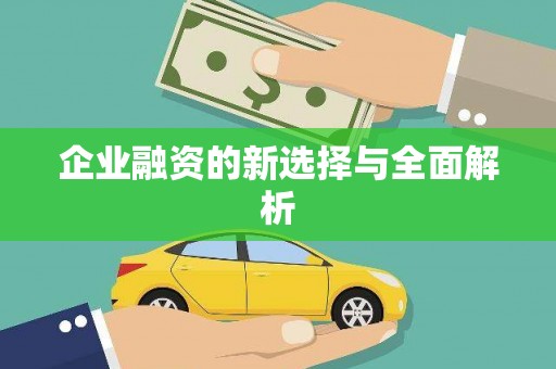 碌曲企业融资的新选择与全面解析