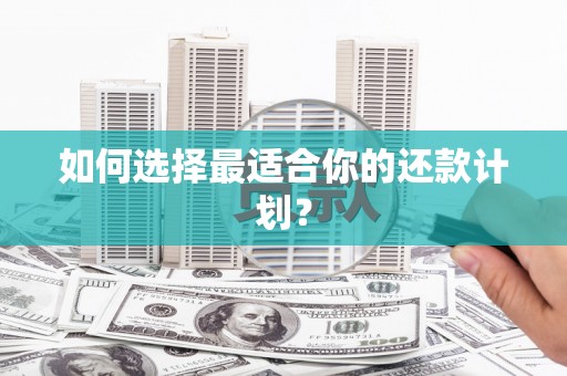 碌曲如何选择最适合你的还款计划？