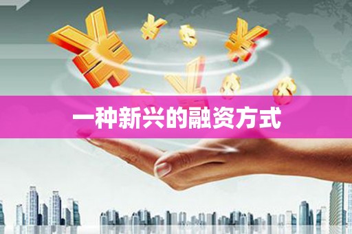 碌曲一种新兴的融资方式