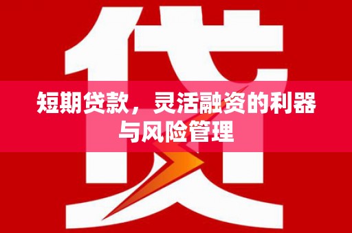 碌曲短期贷款，灵活融资的利器与风险管理