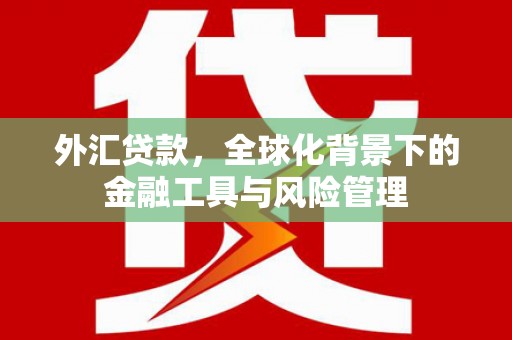 碌曲外汇贷款，全球化背景下的金融工具与风险管理