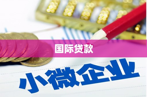 碌曲国际贷款